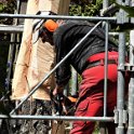 DSC02556_bea