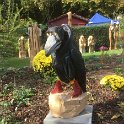 IMG_6779
