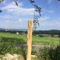 Img_8963
